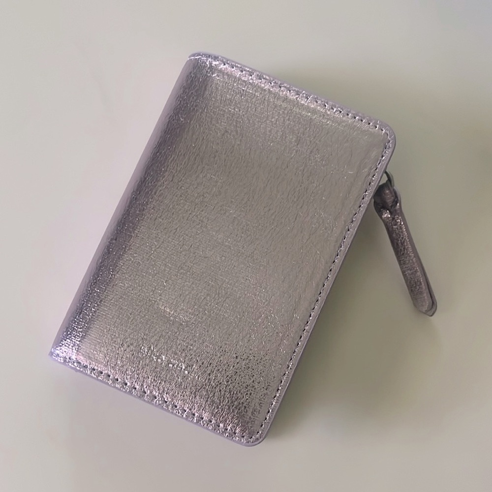 Silver Women's Wallet